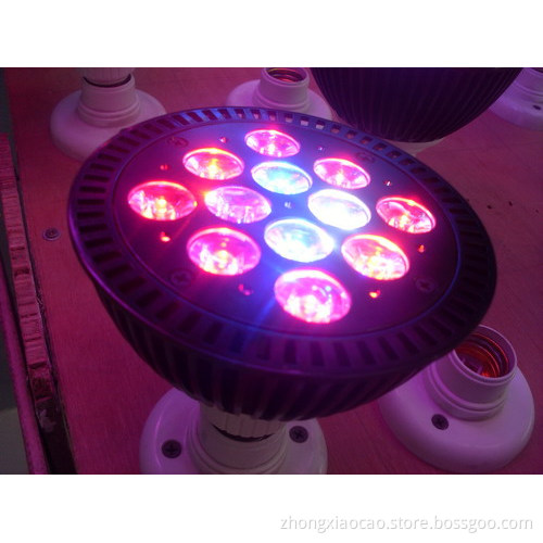 fish tank and coral reef led spot light 36w White high quali